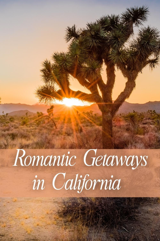 Sunset over desert landscape with text