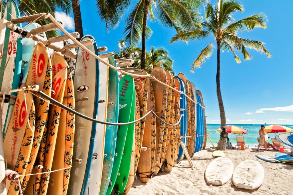Colorful surfboards are stacked upright in the sand under tall palm trees on a sunny beach. People relax under bright umbrellas near the turquoise ocean in the background.