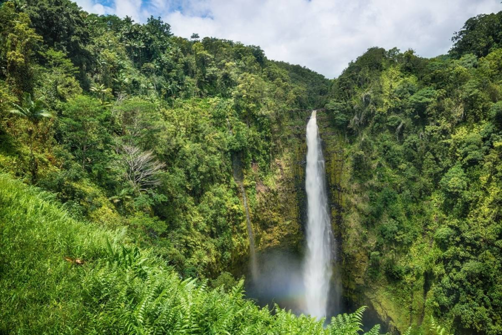 hawaii big island waterfall