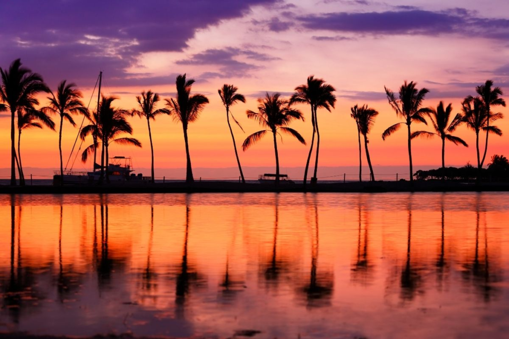 Palm trees are silhouetted against a vibrant orange and purple sunset sky, reflected in calm water. A sailboat and a few structures are visible in the background, creating a tranquil tropical scene.