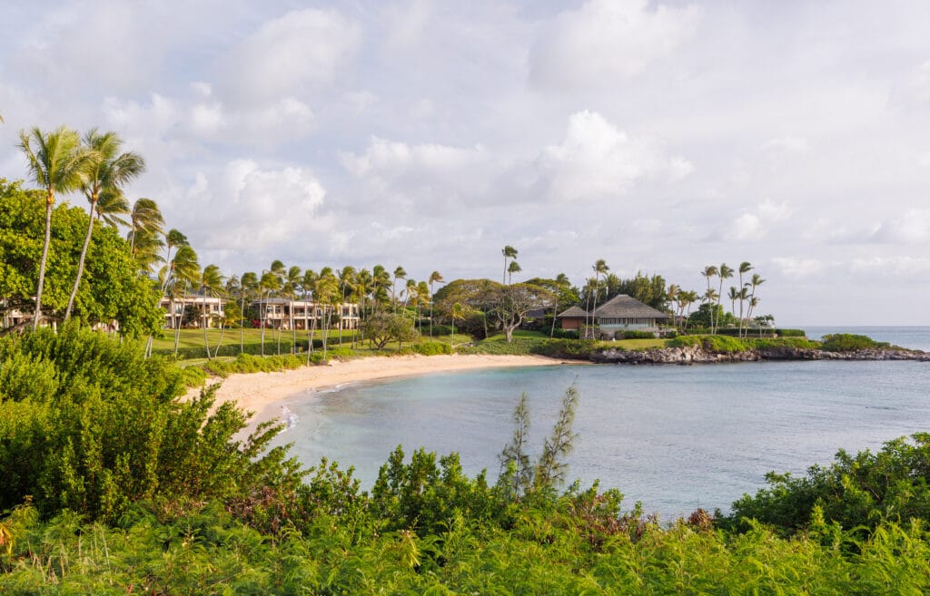 Palm trees and swimming pool at luxury Hawaii resort for romantic couples getaway