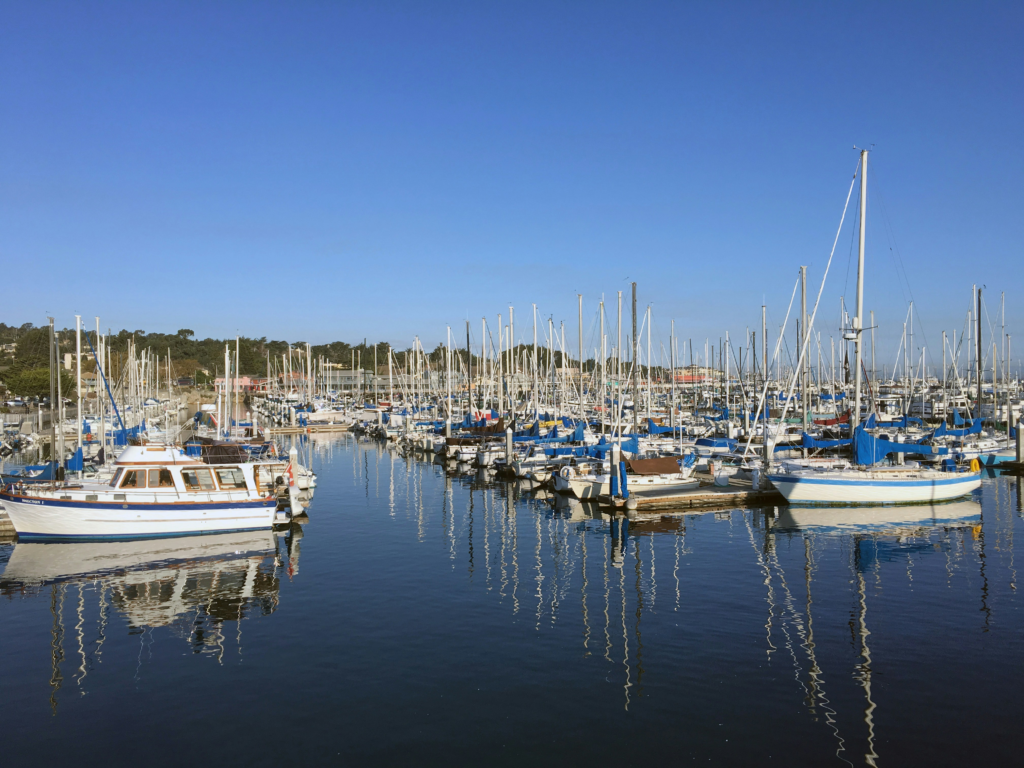 Marina filled with boats and masts