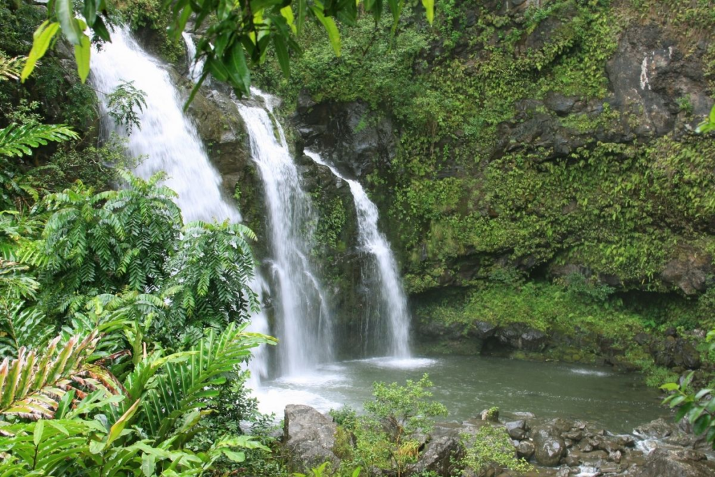 A lush green landscape surrounds a small waterfall cascading into a clear pool, with dense foliage and rocks framing the scene—reminiscent of the tranquil views near romantic hotels in Maui.