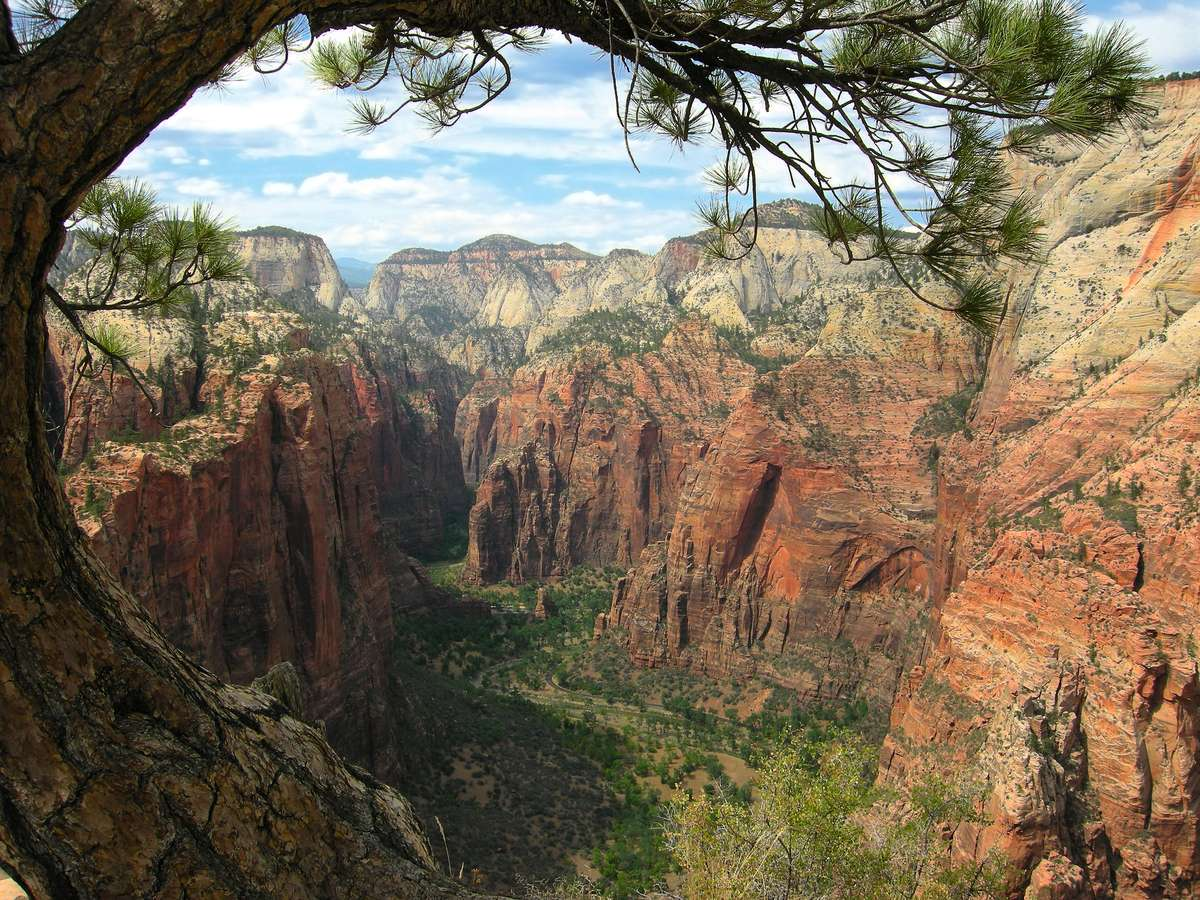 View of the canyon from Angels Landing trail in Zion National Park, Utah