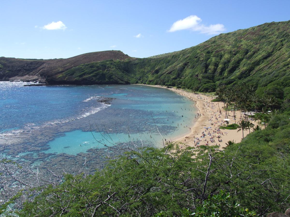 Hanauma Bay Nature Preserve, a curved sandy beach and coral reef bay on Oahu
