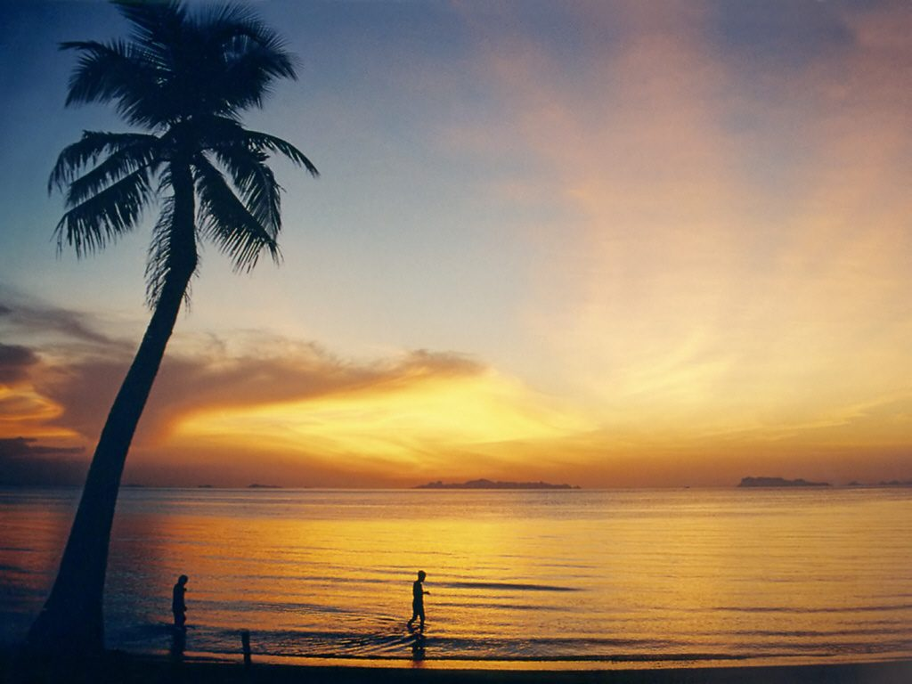 Sunset over the ocean with a palm tree on Koh Samui, Thailand