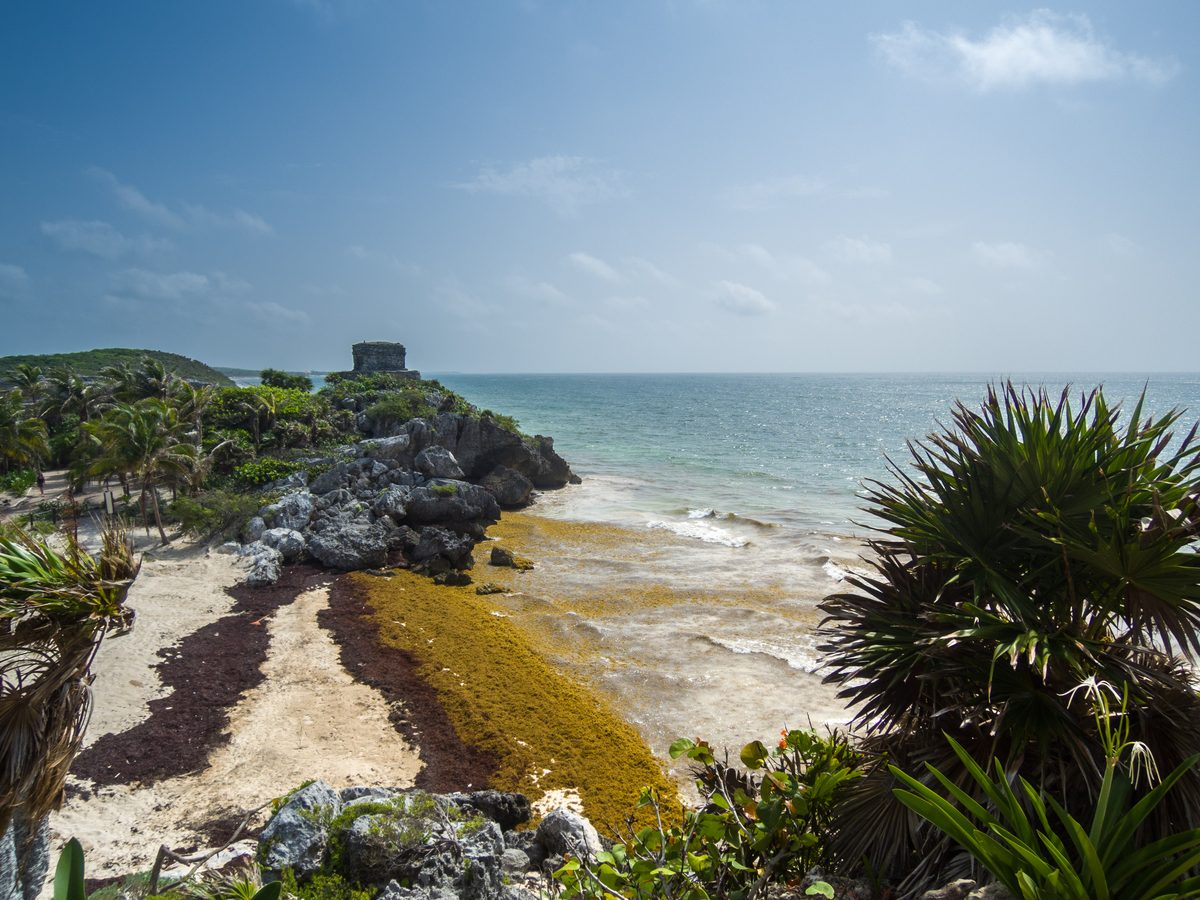 Tulum Mayan ruins on a cliff above the turquoise Caribbean Sea, Riviera Maya, Mexico