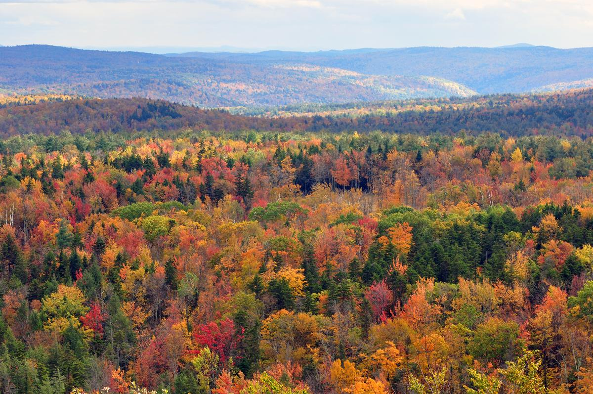 Autumn foliage covering the hills of Vermont